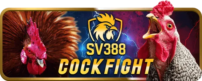 Chương trình VIP V888